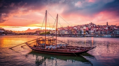 Douro River Cruises