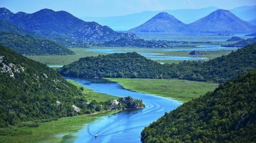 The Mighty Amazon River